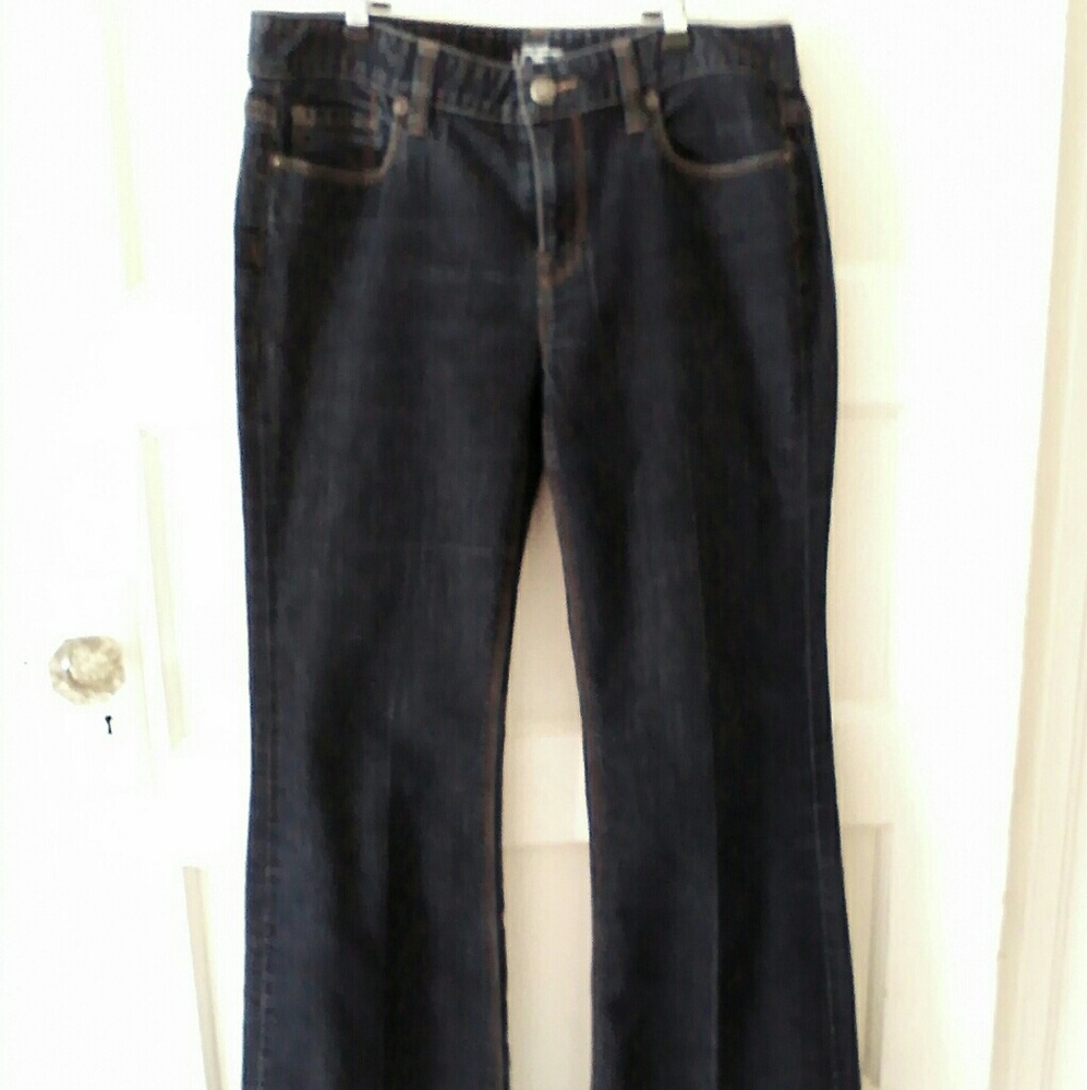 Ann Taylor Loft Modern Flare jeans